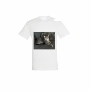 Tee shirt