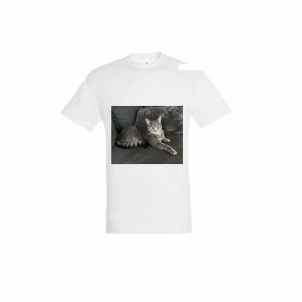 Tee shirt